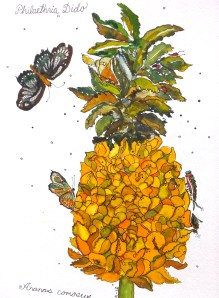 Watercolour on paper