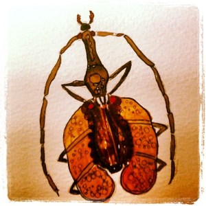 1Bug1Day-Mormolyce phyllodes