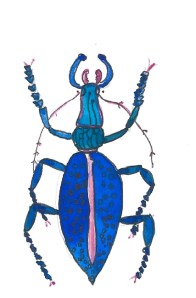 Beetles2 - Version 2