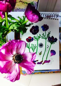 anemones for friendship