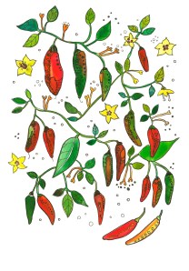 botanical fucsia chilli and fungi-1