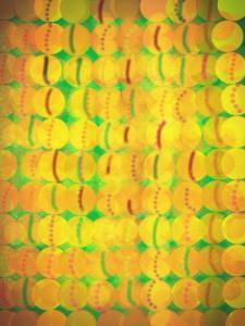 11140252_10155503873855273_506996191830731419_n