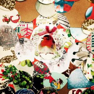 12484823_10156386455925273_6992962652369336995_o